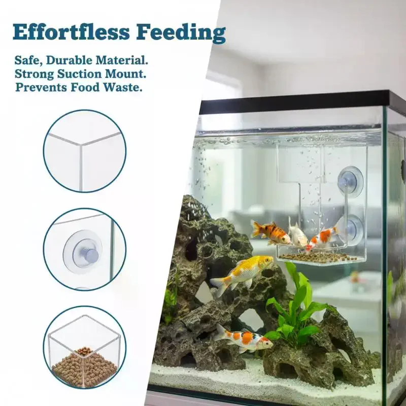 Fish Feeder For Aquarium 2025 Transparent Suction Cup Tray Monitor Feeding For Healthy Aquarium Environments