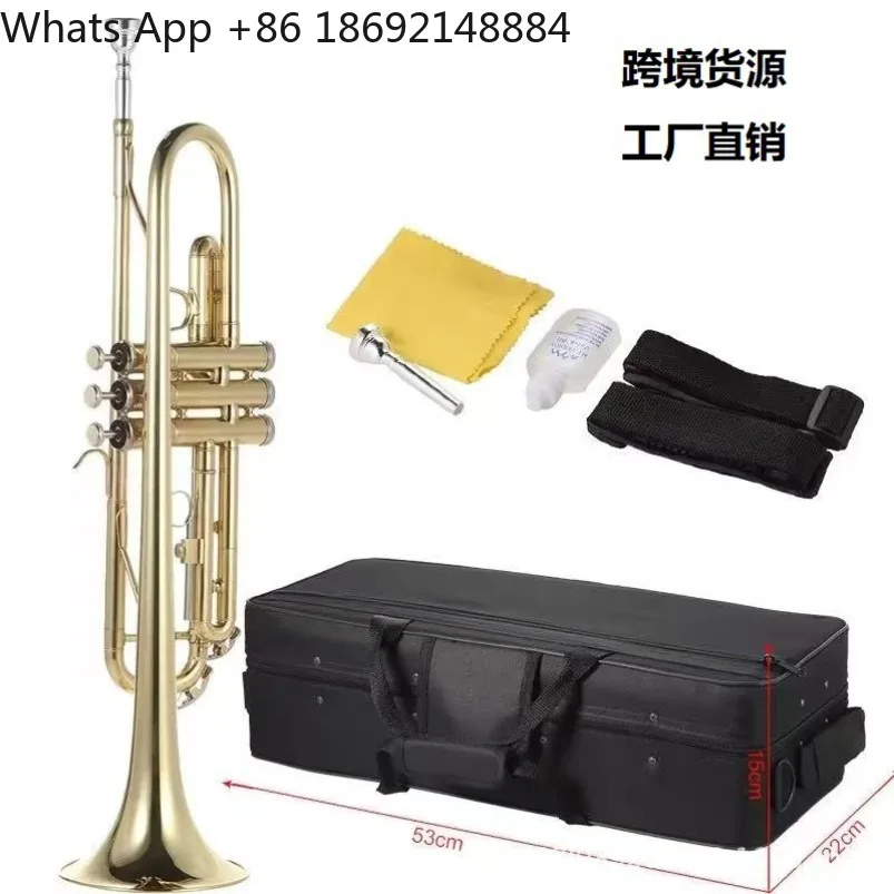 Direct sales Trumpet musical instrument B flat three-tone brass material Beginner performance examination professional school
