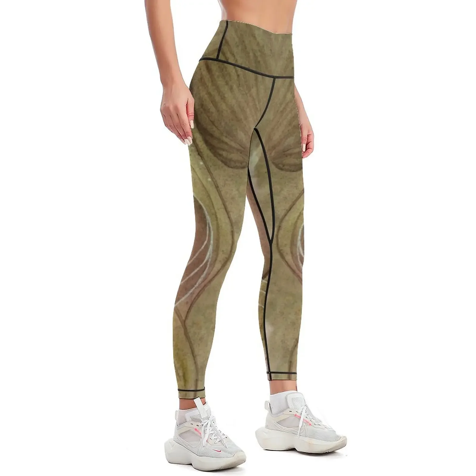 مجموعة ملابس اللياقة البدنية من Forest Elf Leggings ملابس رياضية للصالة الرياضية لصالة الألعاب الرياضية، سراويل ضيقة رياضية للسيدات