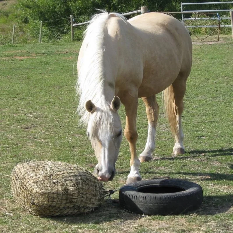 

Sturdy Mesh Slow Feed Hay Bag For Horses Reliable Feeding Solution For Farm Stable And Daily Livestock Care Hot Sale