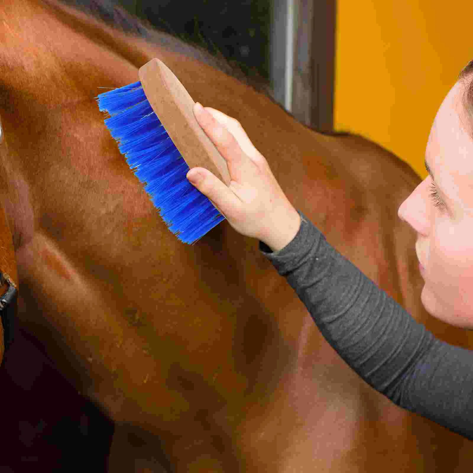 Produtos de cuidado Escova de cavalo Ferramentas de aliciamento de animais de estimação Cabelo para cavalos Escovas de madeira Escova de cabelo