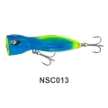 NSC013