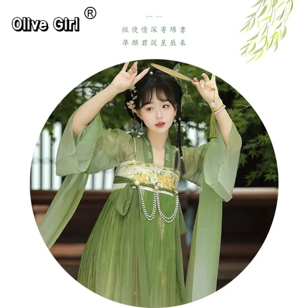 الأصلي Hanfu فستان صيني تأثيري حفلة الأميرة الأصلي Hanfu الصيف تانغ نمط مزدوجة الصدر أعلى مطوي تنورة #6