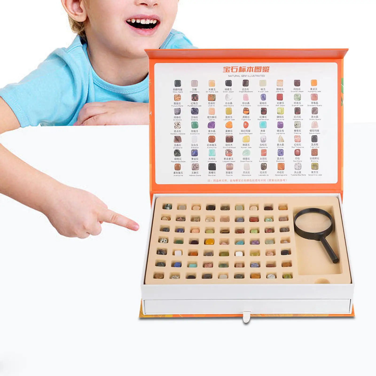 Rock Collection for Kids with magnifying glass, Flashlight, Tweezers Ornament