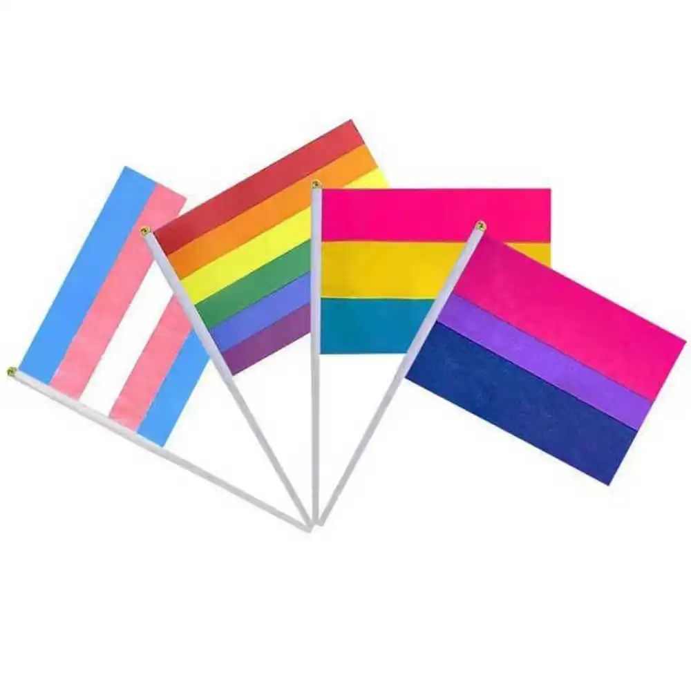 Mini Rainbow Flag LGBT Pride Lesbian Gay Bisexual Transgender Pansexual 14x21cm Handheld Small Flags LGBTQ Decoration Parades