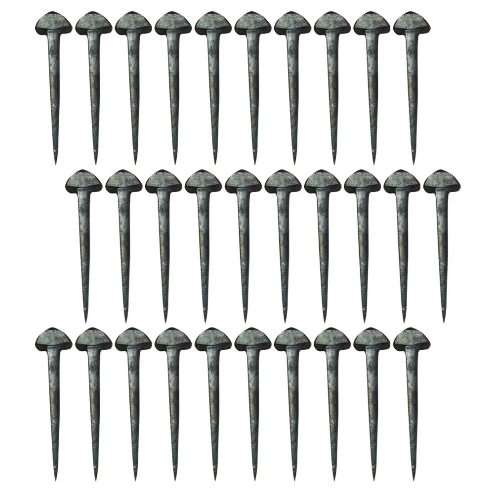 50 قطعة من أظافر حدوة الحصان الحديدية قوة الشد العالية مثبتات الحصان العملية سهلة الحمل مخزن حدوة الحصان مثبتات الحصان