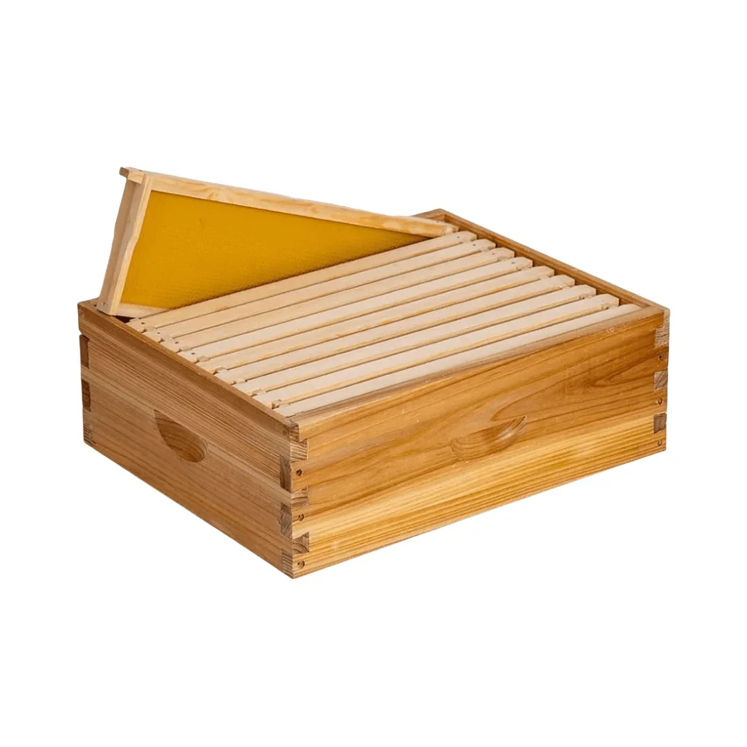 

Including Ten Honeycomb Frames And Medium-sized Super Bee Honeycomb Boxes