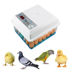 20 Eggs Incubator Brooder Bird Quail Chick Hatchery Incubator Poultry Hatcher Turner Automatic Temperature Control 220V