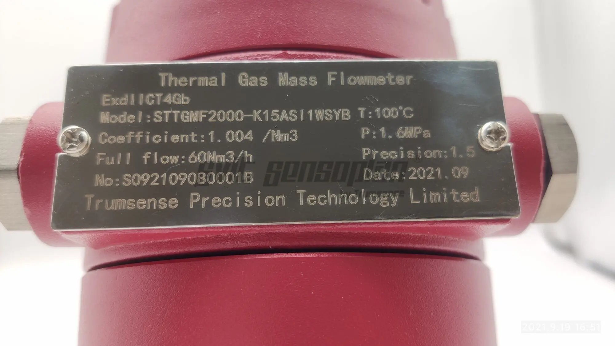 Trumsense STTGMF2000-K15ASI1WSYB DN15 수소 질량 유량계, 출력 클램프 유형, AC220V DC 24V 전원, 4 ~ 20mA 펄스 RS485