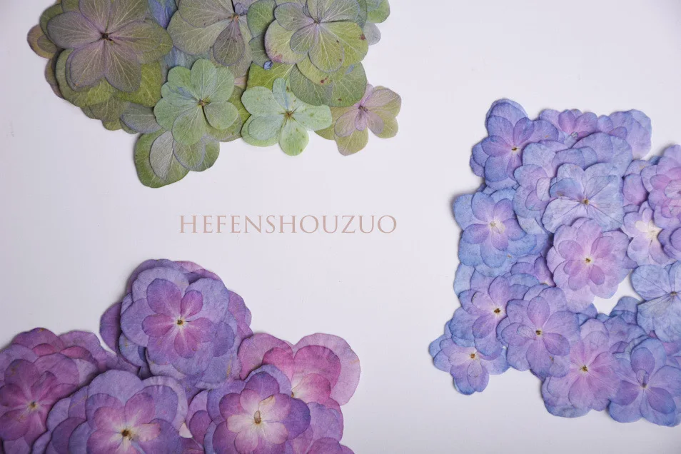 

diy natural color multi-petal hydrangea embossed resin phone case, real flower coasters, embossed photo frame fillers