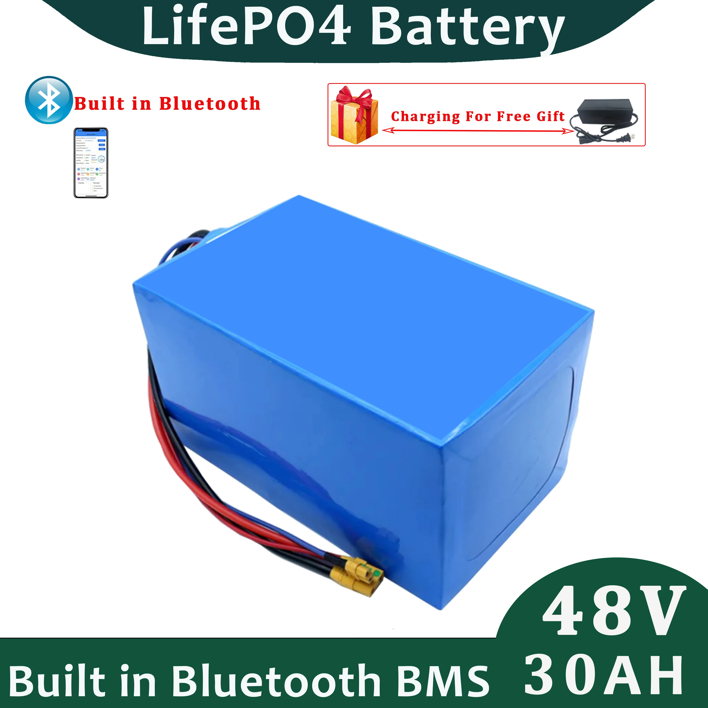 48v 30ah Lifepo4 Lithium Iron Phosphate Battery Pack for Electric Cart with 5A Charger