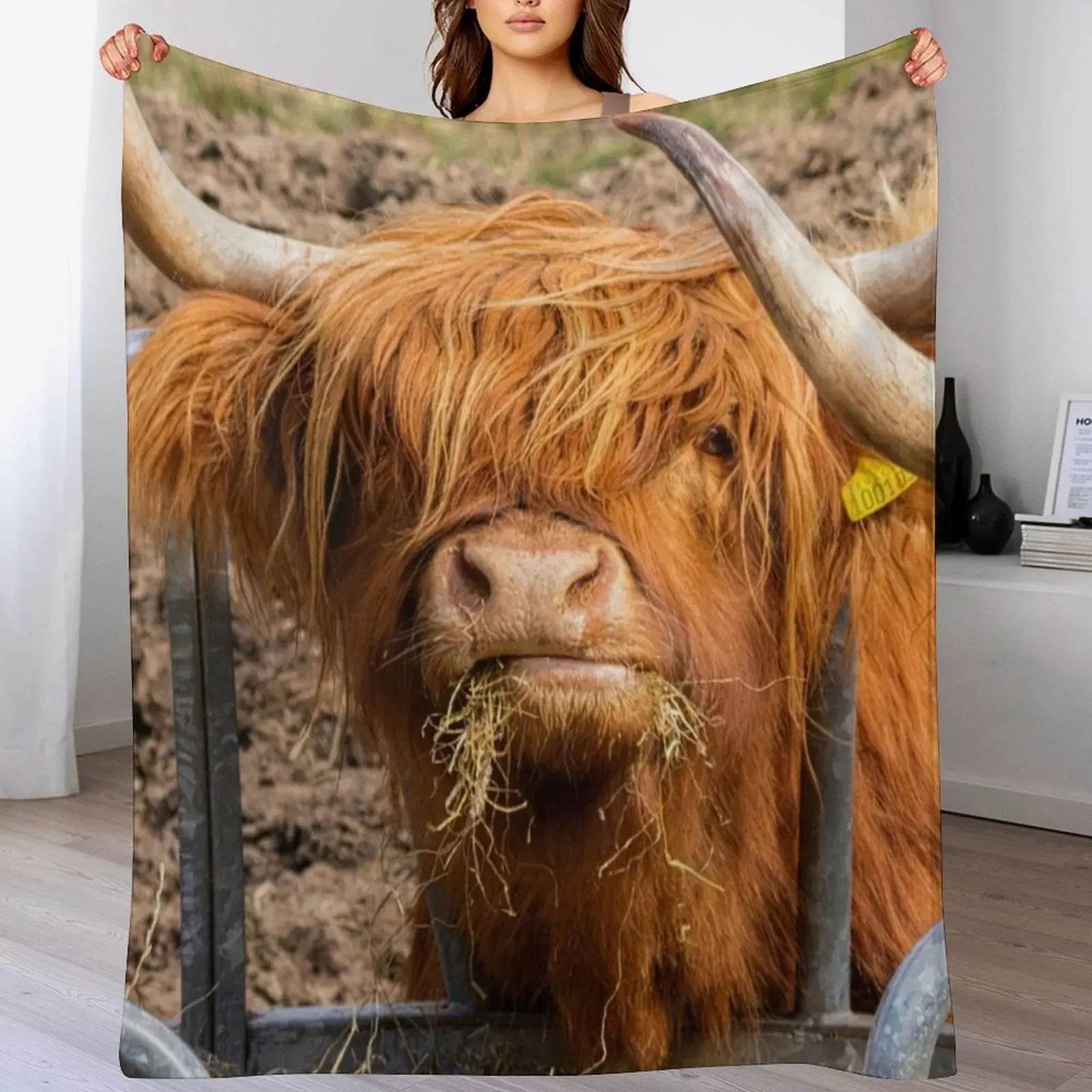 

Cute hungry ginger Scottish Highland cow Throw Blanket anime Hairys Summer Beddings Blankets