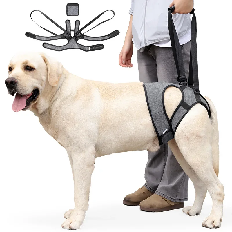 Dog Hind Leg Support Strap with Rear Lifting Assist Strap for Elderly Disabled and Injured Dogs' Back Type Outdoor Walking Strap