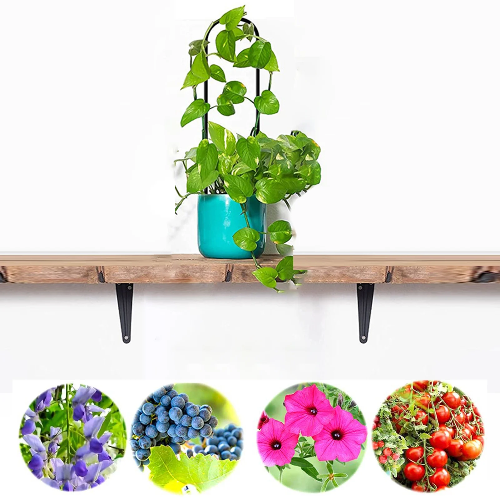 Metal Plant Trellis Support Stand Decorative Plants Climbing Holder Rack For Potted Plants Flowers Indoor Garden Trellis Support