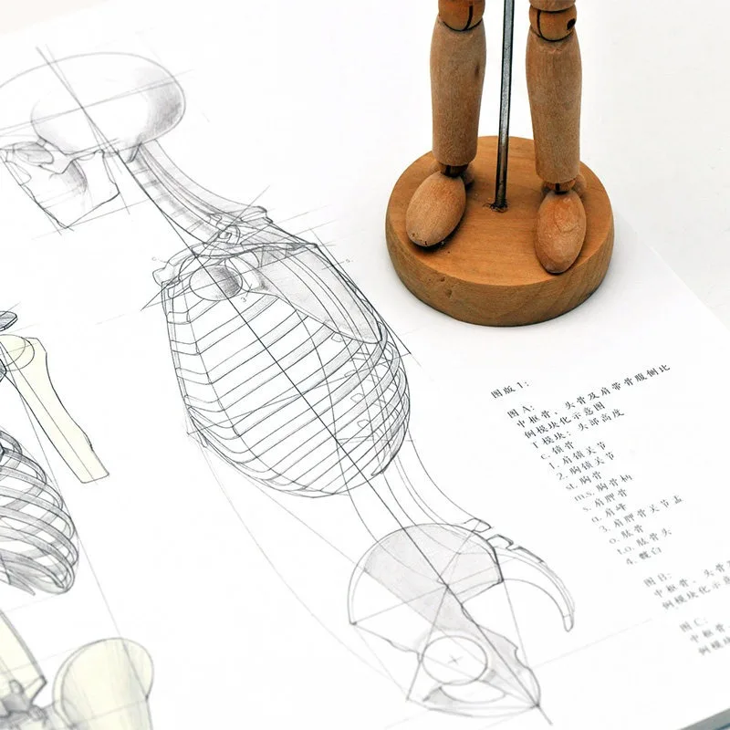 Artistic Anatomy Drawing Tutorial Book Human Structure Skeleton 1000+ Illustrations Art Academy Professional Detailed Technique
