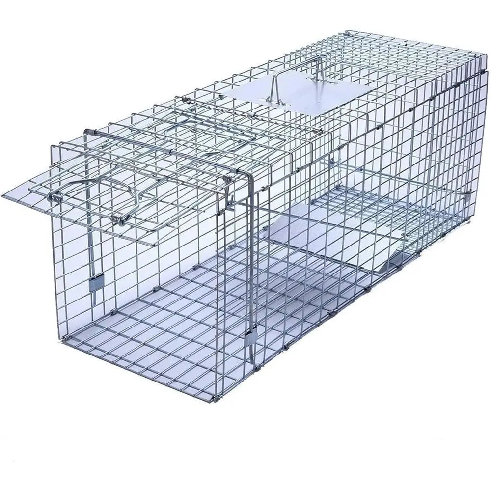 

32 x 11 x 13 Collapsible Animal Trap for Raccoons, Opossums, Cats, Rabbits, and Armadillos
