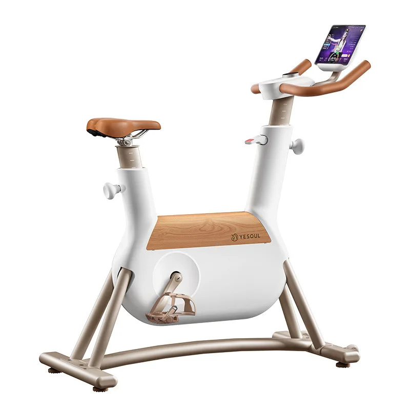 Suitable for Self-generated spinning bicycle Home bicycle Professional sports equipment Girls R6
