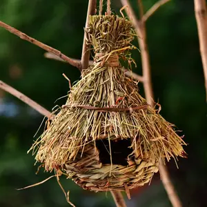 Vogelnest, Outdoor -Eierkäfig, dekorative hängende Papageiennest, Haustier -Zimmer -Häuser, 19 Stile 10 Hauptverkaufsvögel Käfig - №5