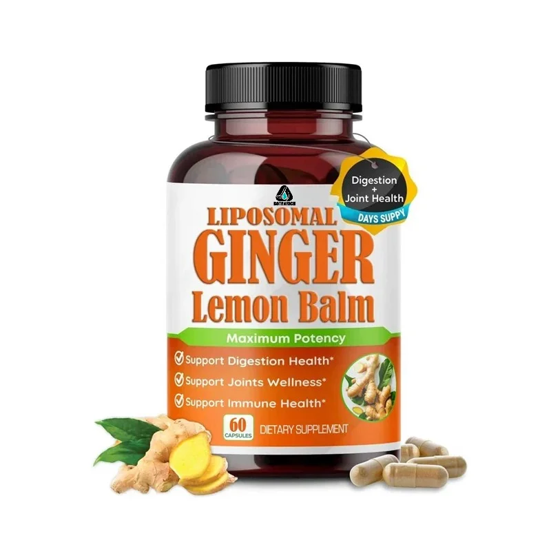 Liposomal Ginger with Lemon Balm, Cinnamon- Maximum Potency - Supports Digestion, Joints, Immune Health