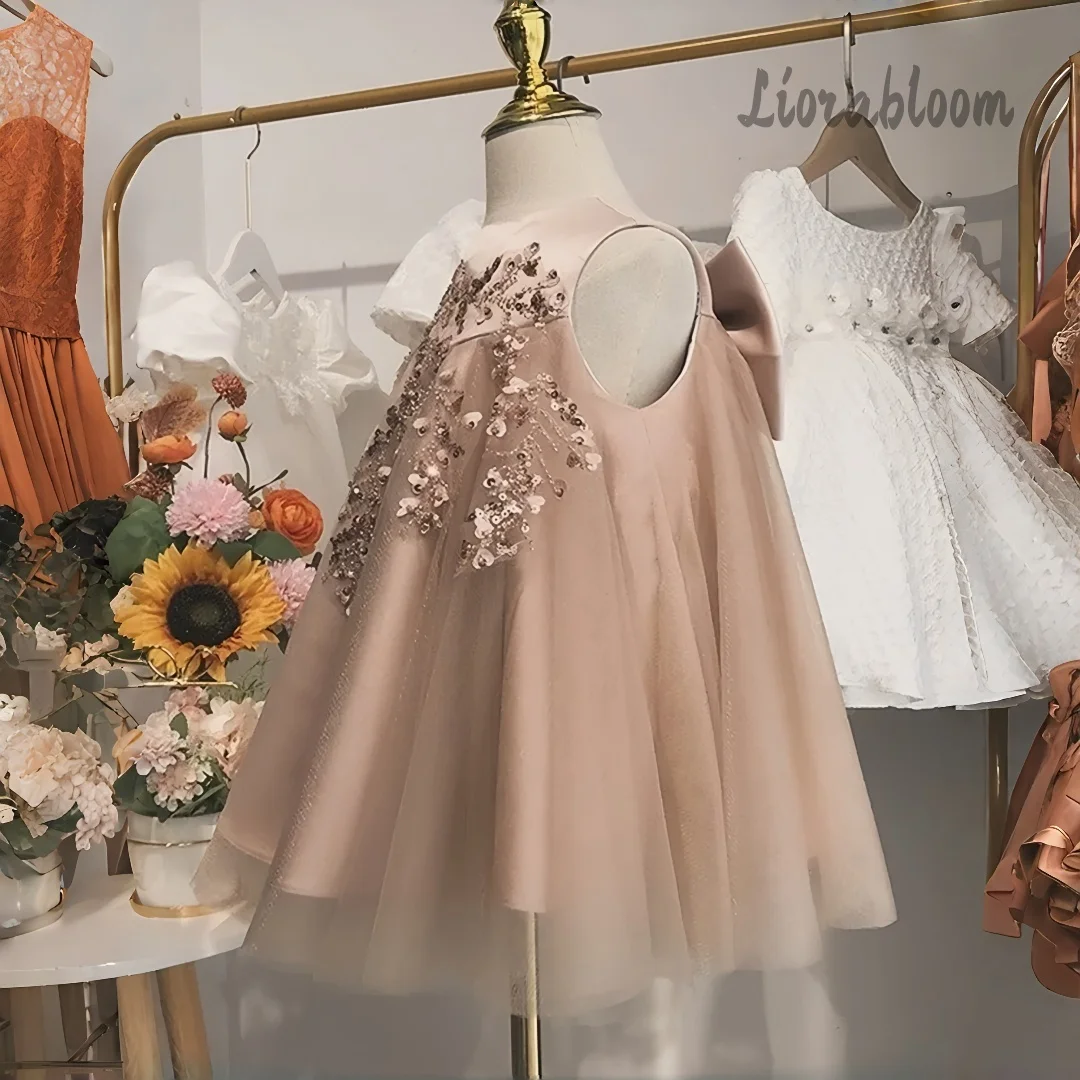 Princess-Style Dresses Elegant Girls' Evening Gowns Flower Girl Dresses Girls' Formal Ball Gowns Intricately Crafted Gowns