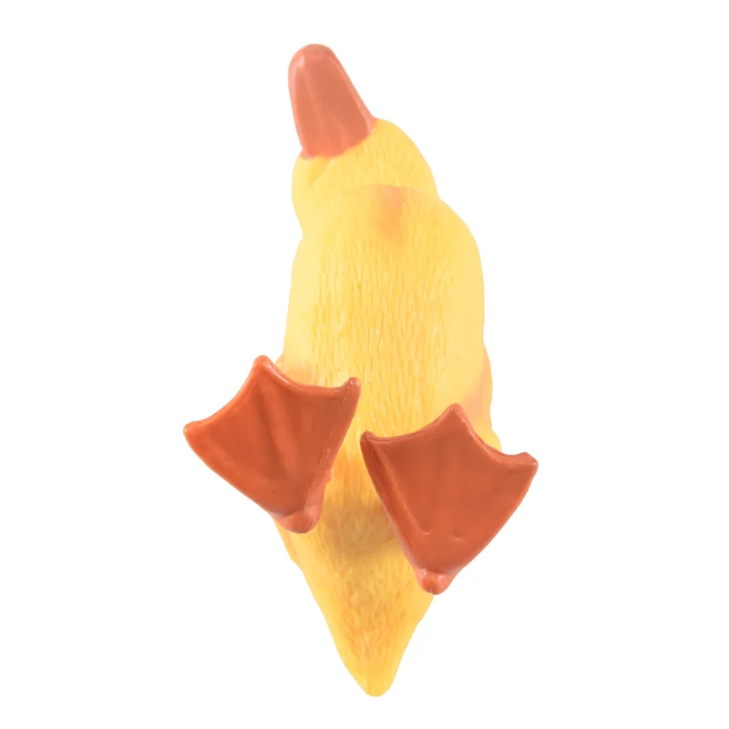 Odies-Farm Ducks Re…