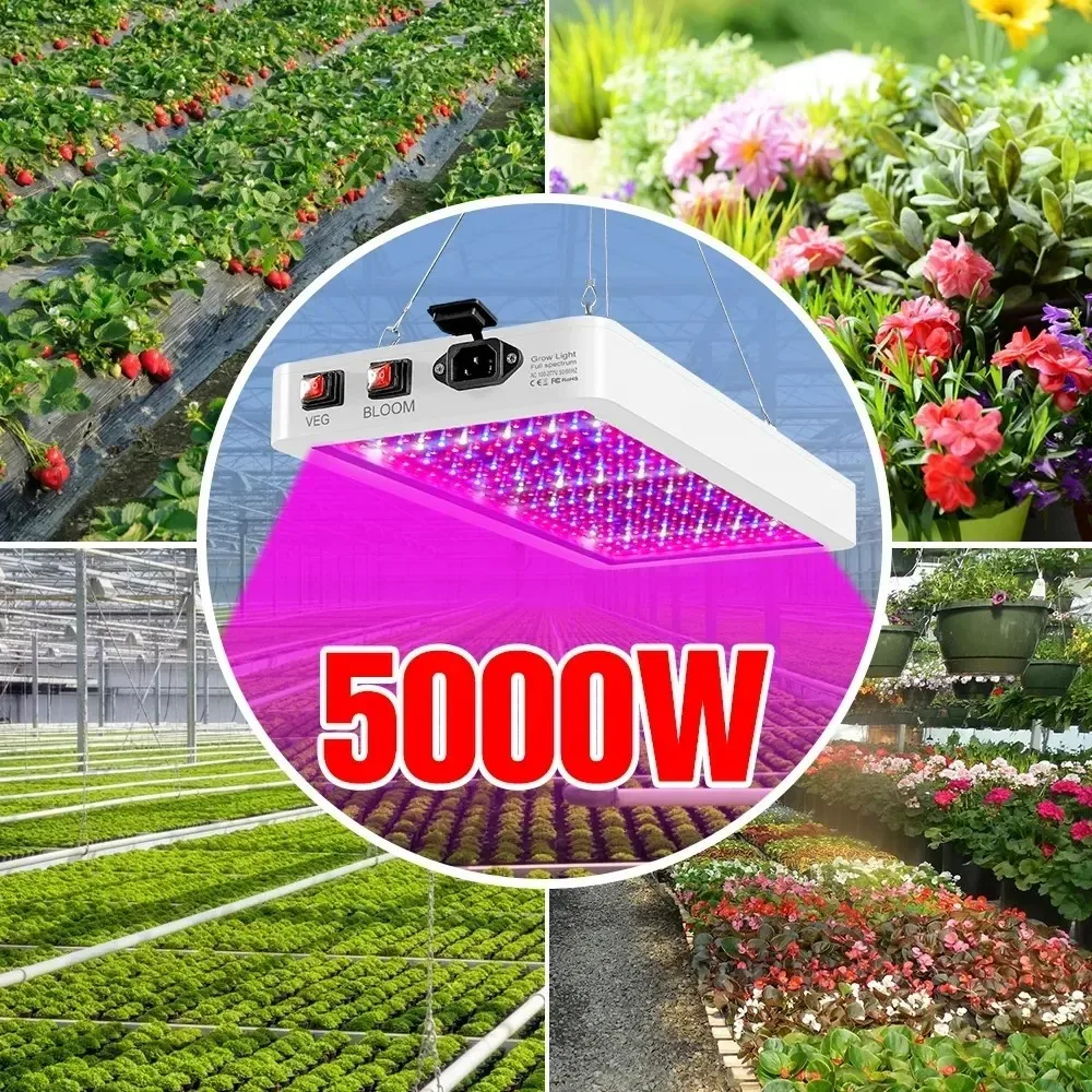 أحدث 4000/5000 واط شاشة ليد بطيف كامل تنمو ضوء IP65 ضوء النبات ضوء المائية الدفيئة ضوء زهرة النمو ضوء الإضاءة