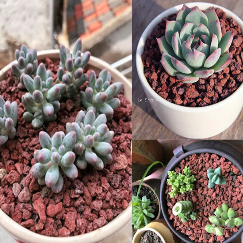 500g/1000g Red Volcanic Rock Succulent Plant Planting Bedding Granular Fish Tank Water Purification Materials Gardening Supplies
