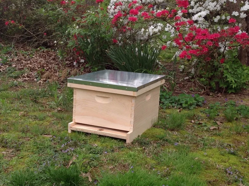 10- frame complete langstroth Beehive with frames and foundation