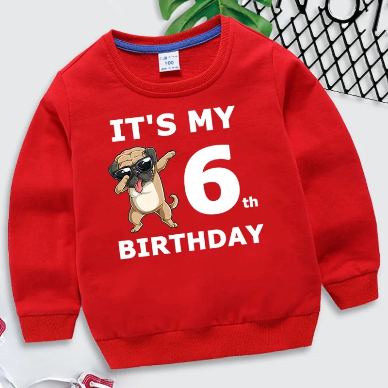 Funny Dogs Birthday Number 1-10 Kids Sweatshirts Children\'s Kawaii Pullover Cartoons Boy Girl Hoodies Birthday Party Red Hoodie