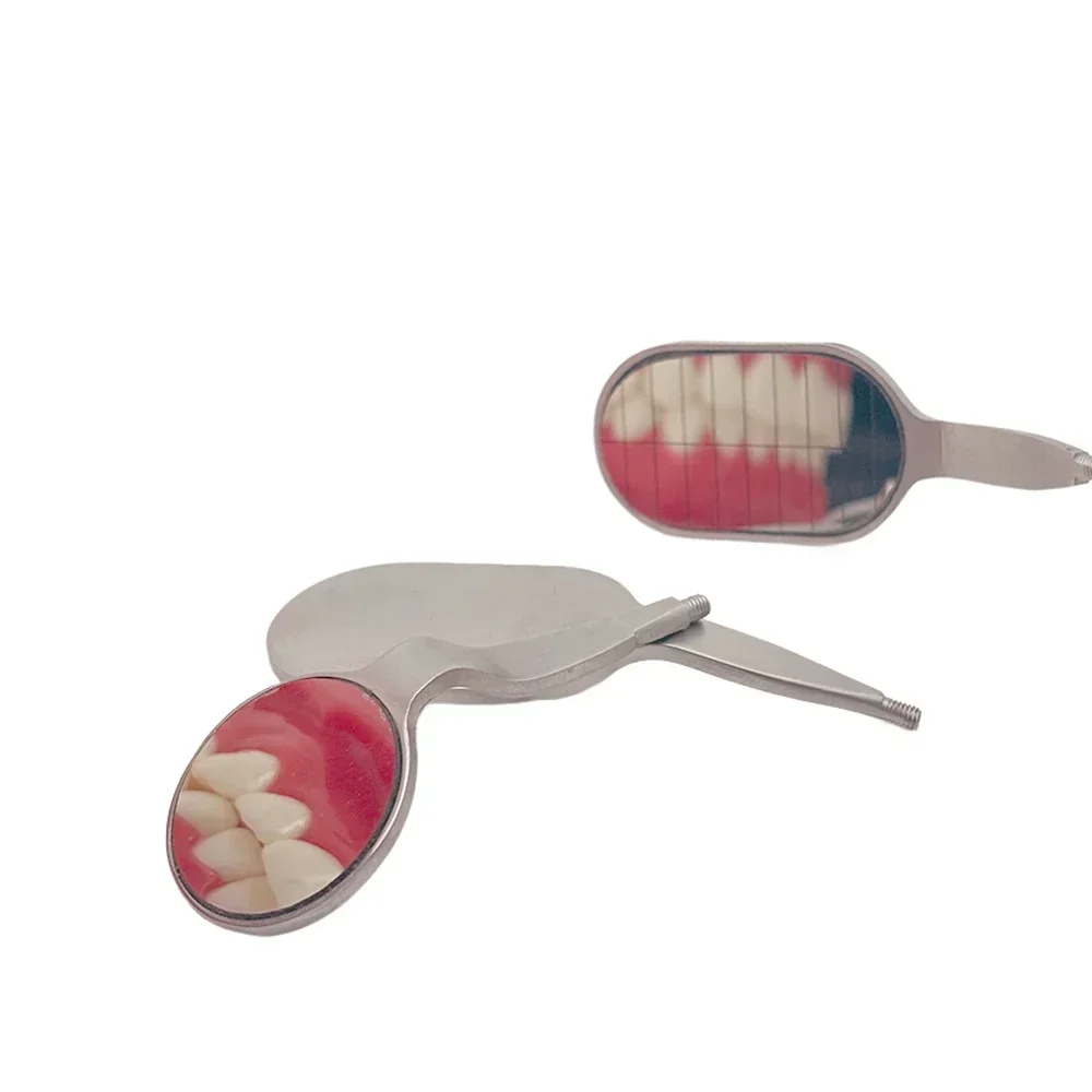 

Anti-Fog Dental Mirrors Rhodium Plated, Long Handle Shape Oral Reflectors for Dentists Clinics Dental Tools Reusable