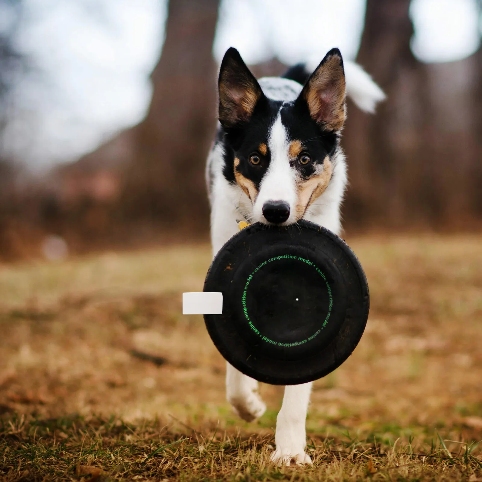 

Набор из 3 портативных зажимов для фрисби: держатели-крючки для спортивных дисков, для активного отдыха, командных соревнований и семейного досуга