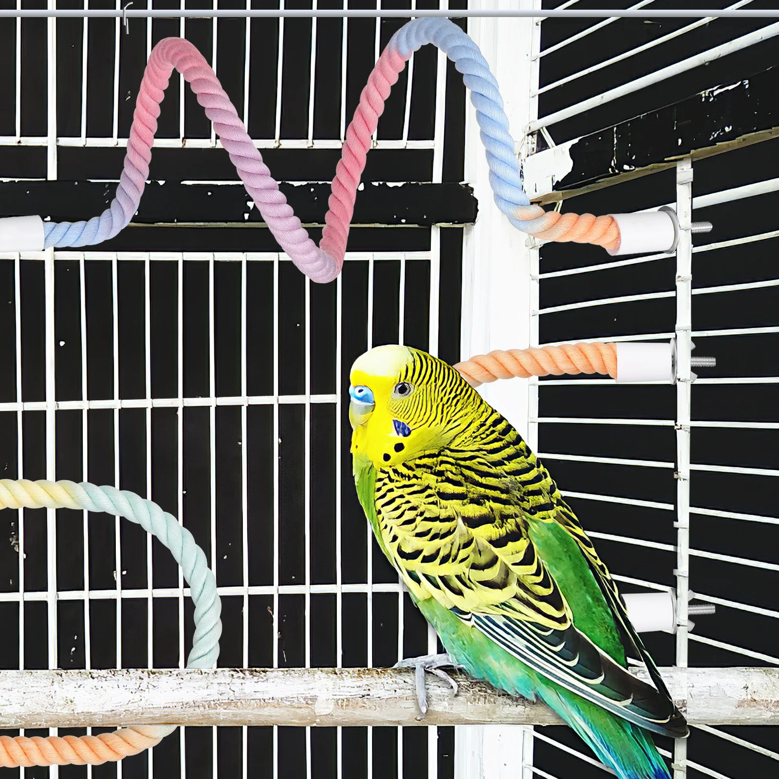 

3Pcs Parrot Rope Stand Soft Colorful Cotton Perch Bird Cage Climbing Swing Decorative Rope for Bird Supplies Parakeet Supplies