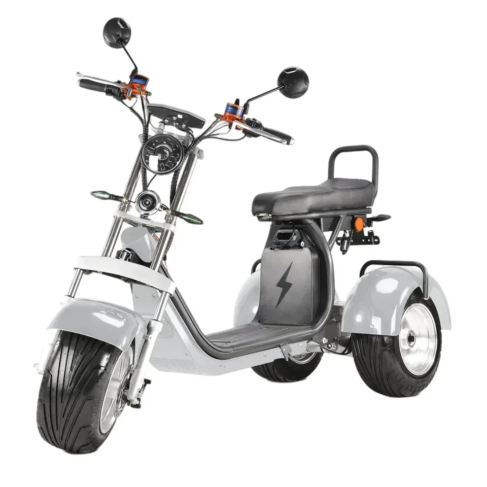 Factory China Double Motor 4000w 2 Wheel Electric Trike Cargo 60v20ah Lithium Battery Electric Scooter Motorized Tricycle