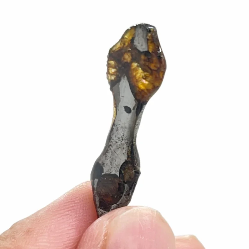 Seymchan Pallasite Meteorite Cut Special Shape Slice Natural Olivine Crystal Mineral Specimen Space Rock Collection CA126