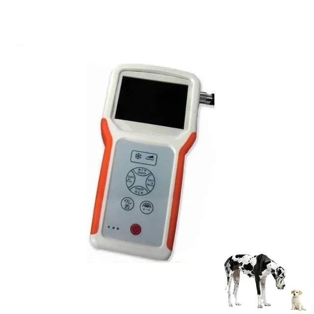 

Portable Abdominal System | Handheld Medical Imaging Device