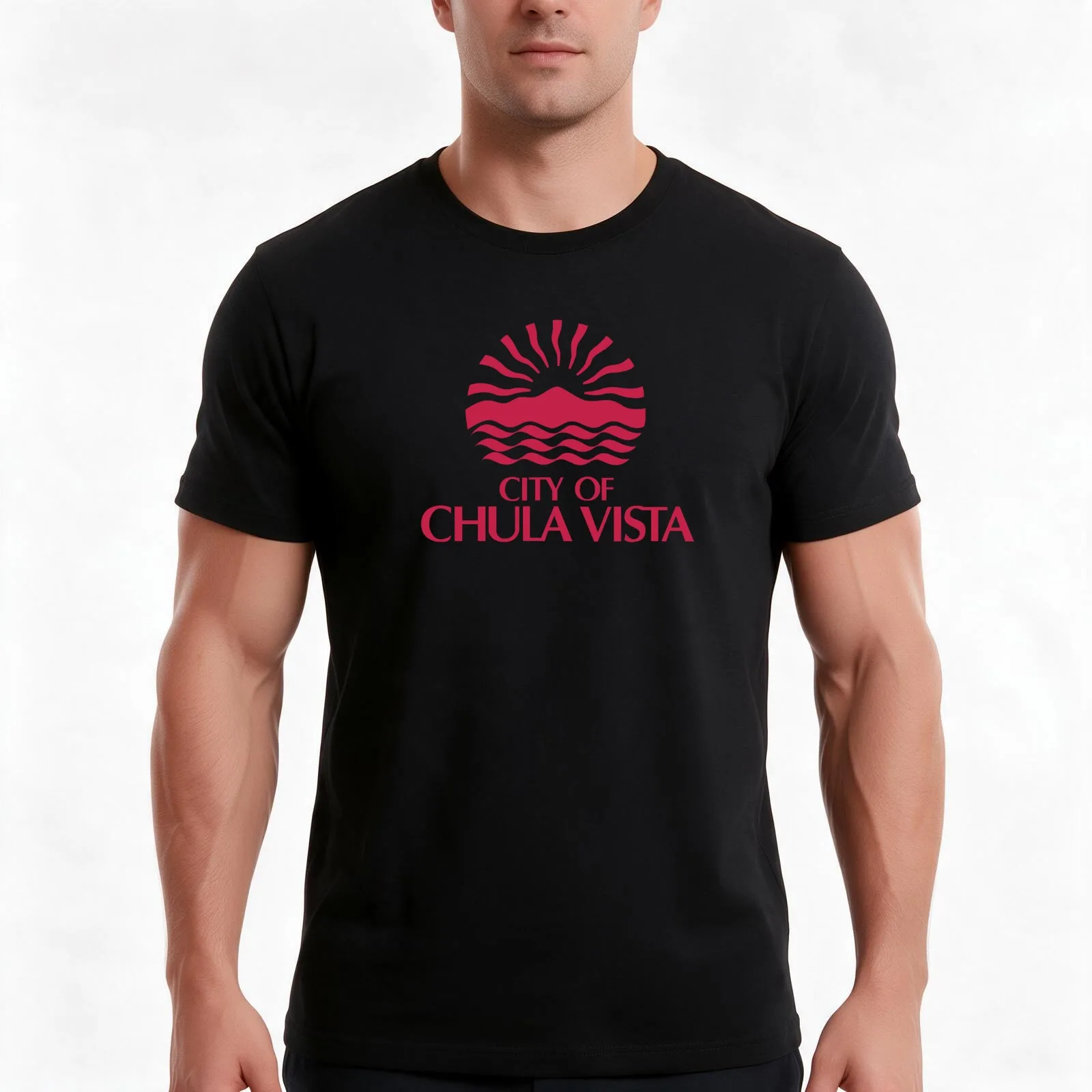 Seal of Chula Vista T-Shirt, Summer Casual Cotton Tee, Oversized Streetwear Tops, Vintage Graphic Print, Loose Fit Short Sleeve