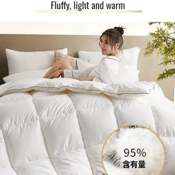 Winter Cotton Thick Quilt Core Double and Single Bedding Home Fluffy Comfortable and Breathable Soft Warm Quilt for All Season