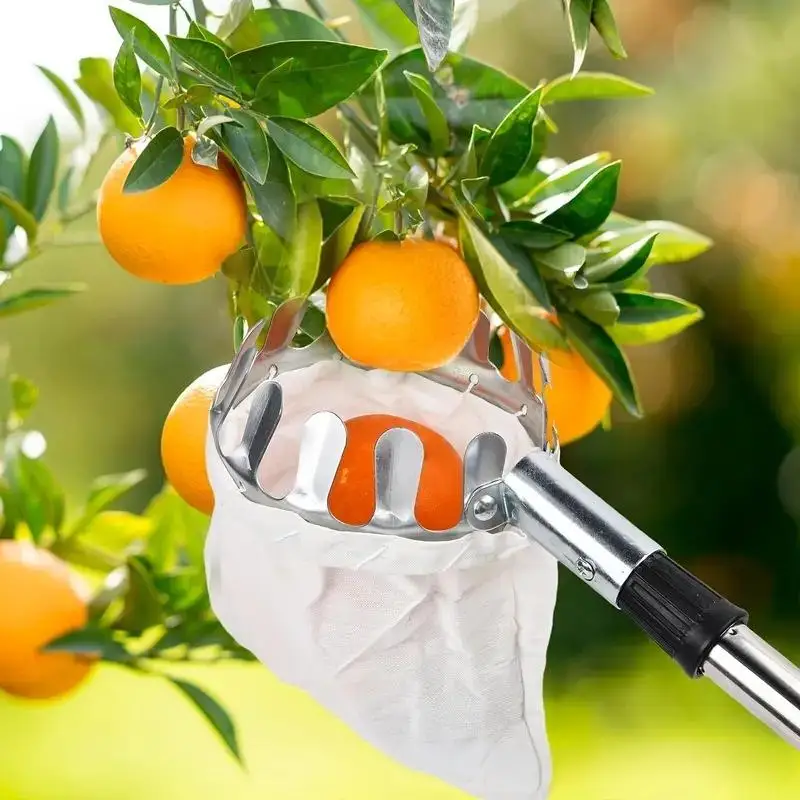 

1pc Fruit Picker Tool, Metal Cherry Picker Tool, Fruit Picker Basket Head,Fruit Harvester Attachment Garden Hardware Tools