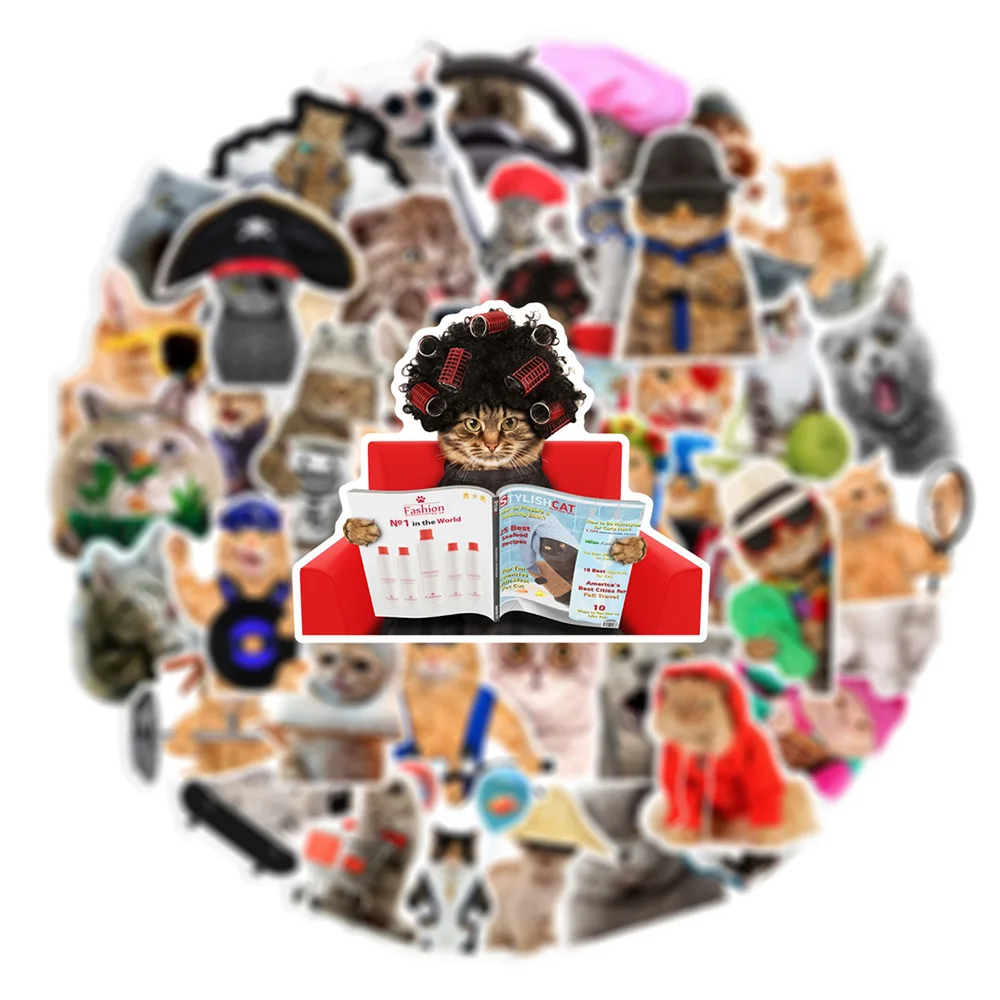 

10/30/60pcs Funny Cat MEME Animals Stickers Toys DIY Notebook Luggage Laptop Bike Waterproof Cute Kids Cartoon Decoration Decals