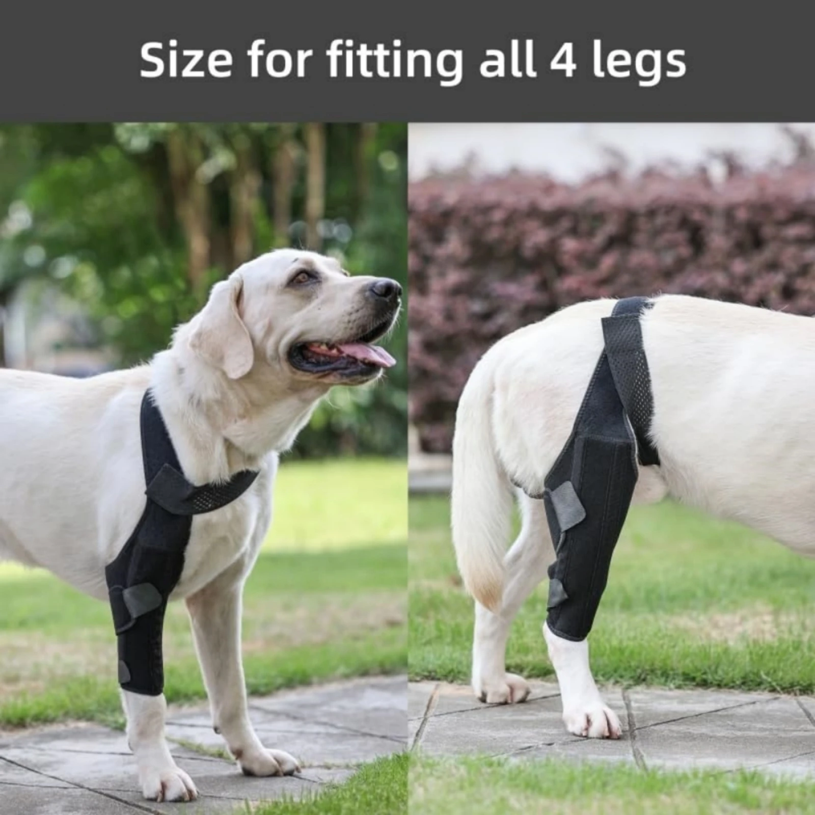 Dog Knee Brace Supportive Leg Braces For Back Leg Torn Acl Hind Leg Effective Relief For Dogs Enhance Mobility And Comfort Durab