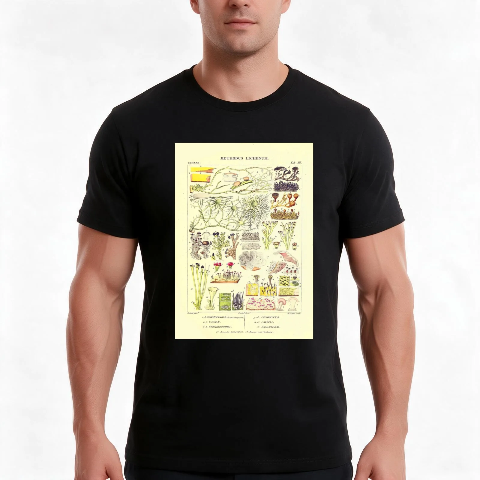 Lichen - Essai sur les cryptogames - Botanical Illustration T-Shirt, Summer Casual Cotton Tee, Oversized Streetwear Tops