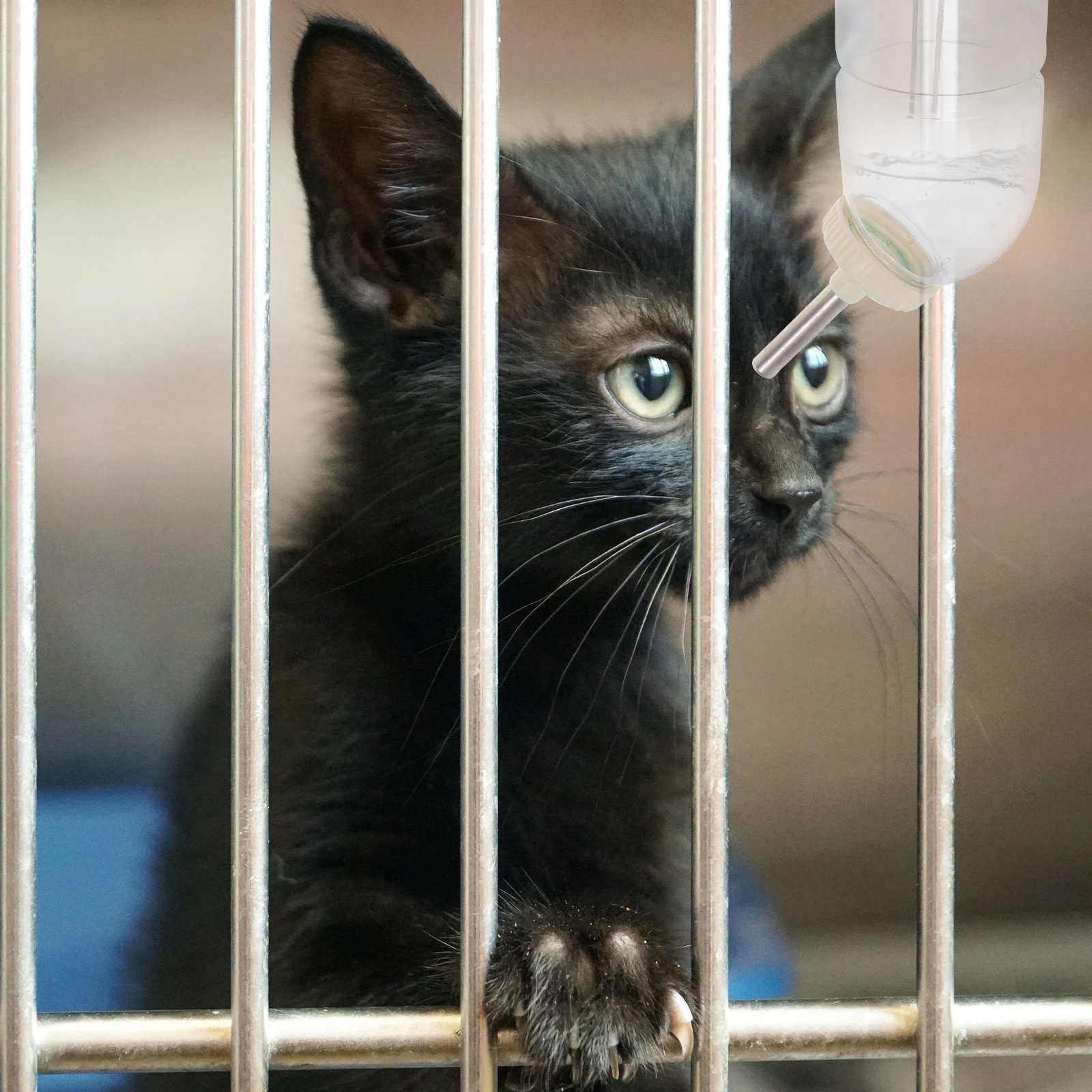 

2Pcs Pet Water Dispenser Durable Rabbit Chinchilla Drinker Compact Size Simple Structure Exquisite Detail Rabbit Water Dispenser