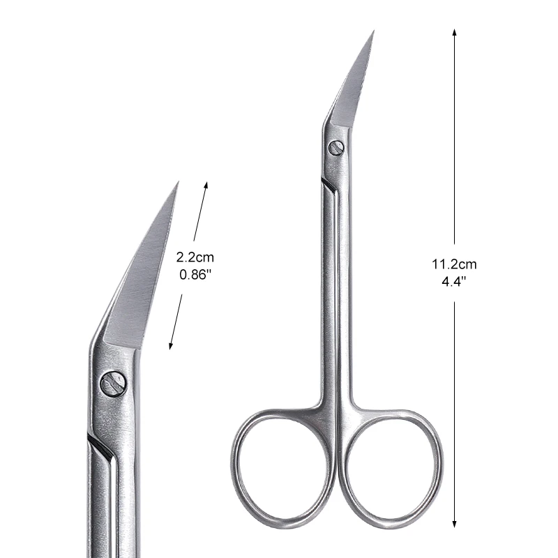 

1 шт., хирургические ножницы из нержавеющей стали, стоматологический инструмент для хирургии полости рта для больницы, медицинские инструменты для удаления омертвевшей кожи, маникюрные инструменты