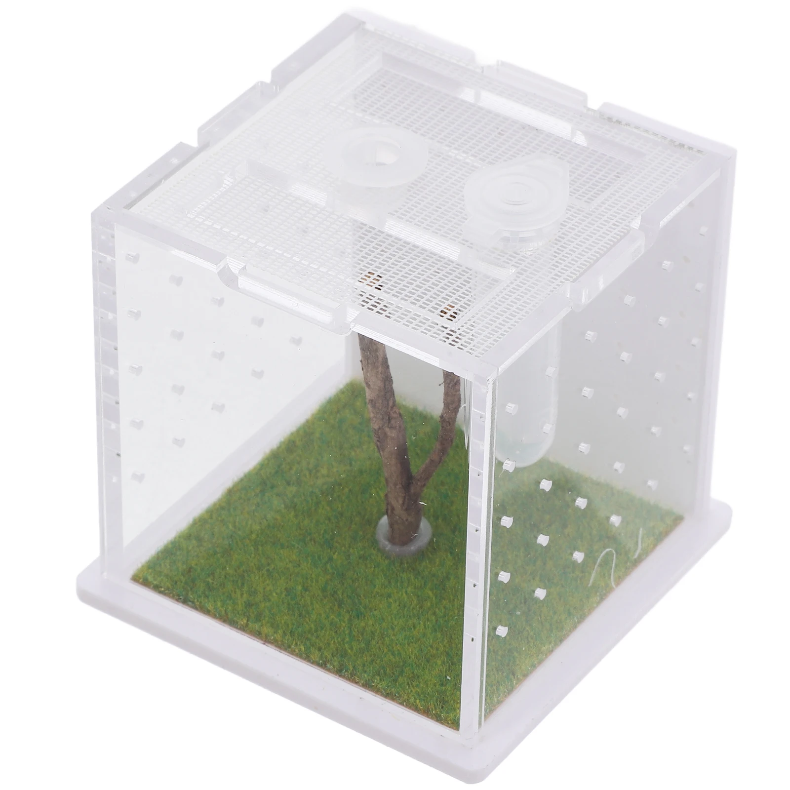Jumping Spider Terrarium Breeding Box Portable Cage Pet Supplies Reptile Container Feeding Case InsectBox Small Bugs