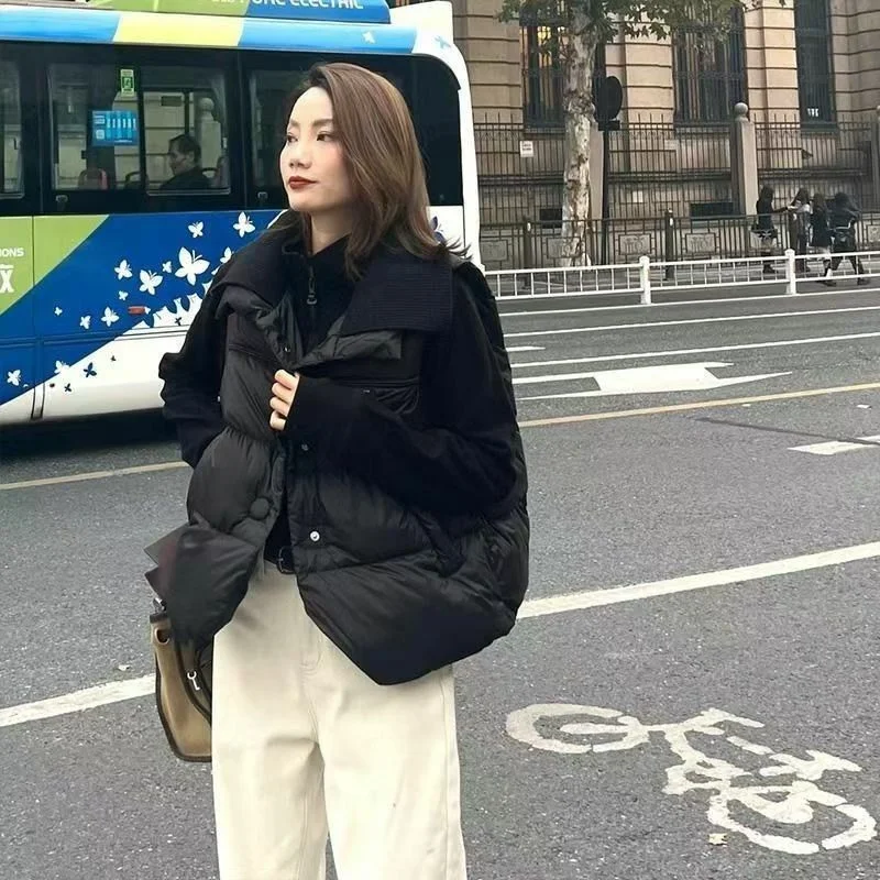 

Winter Female Casual Cotton Padded Waistcoat 2025 Women Puffer Sleeveless Outwear Korean Ladies Fashion Down Cotton Vest Jacket