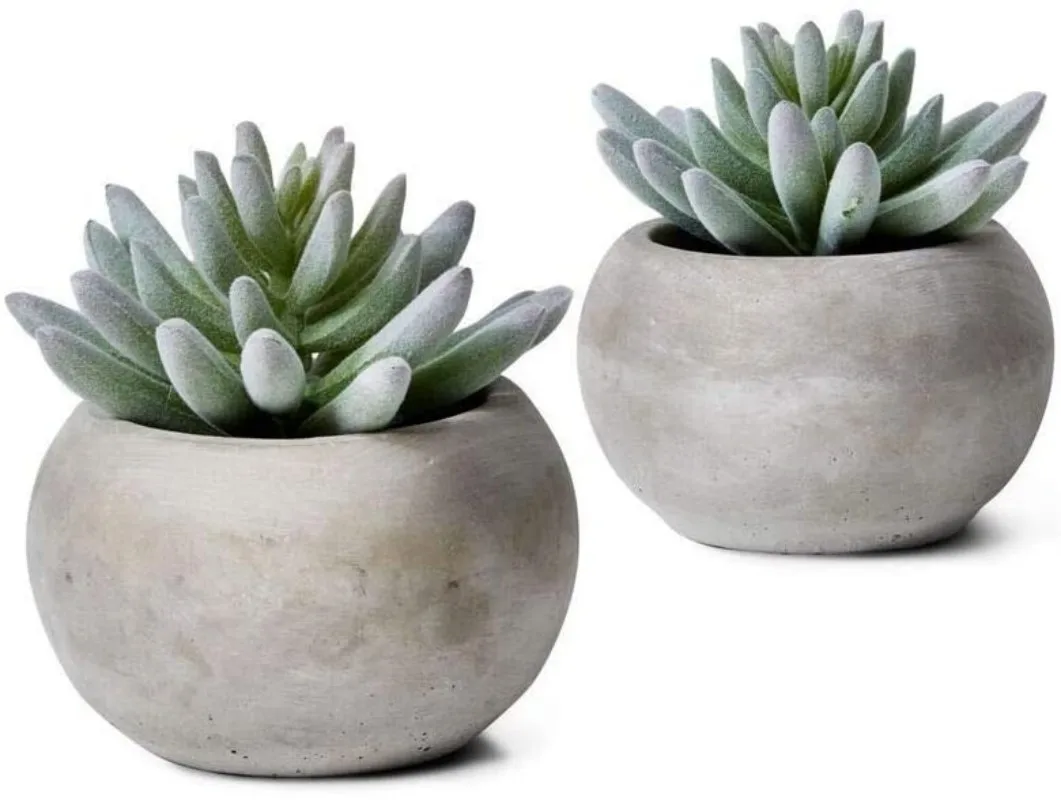 Serene Spaces Living Flocked Finger Succulent in Cement Pot, Perfect for Weddings and Home Décor，Diameter x 4in High, Set 2