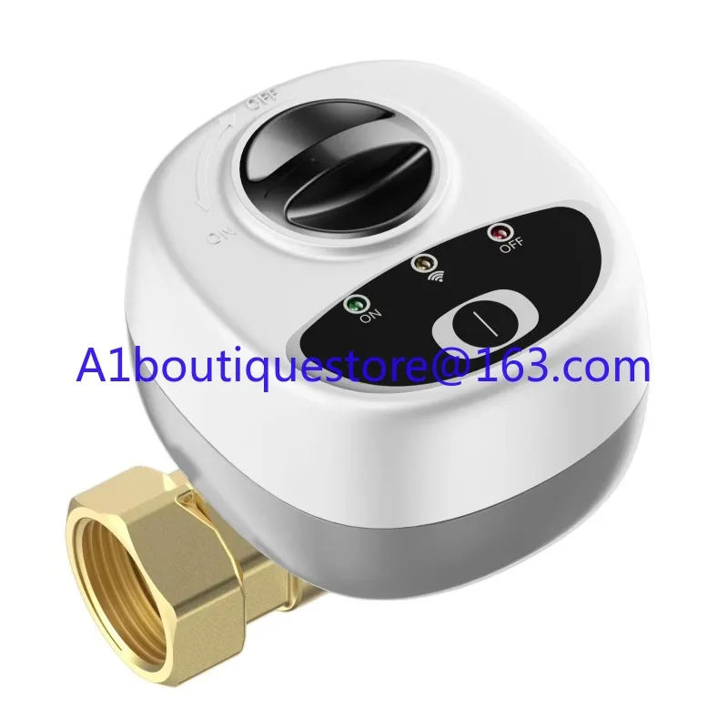 EWelink APP WiFi Smart Valve DN15 /DN20 /DN25 Smart Water / Gas Shutoff Automated Ball Valve Wireless Control Alexa Compatible