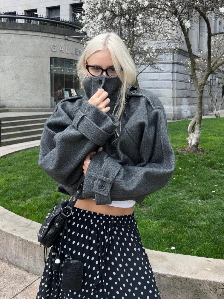 Fashion Fur Women's Jacket 2025 Autumn Winter Turn-down Collar Full Sleeve Single Breasted Female Coat Casual Lady Loose Outwear