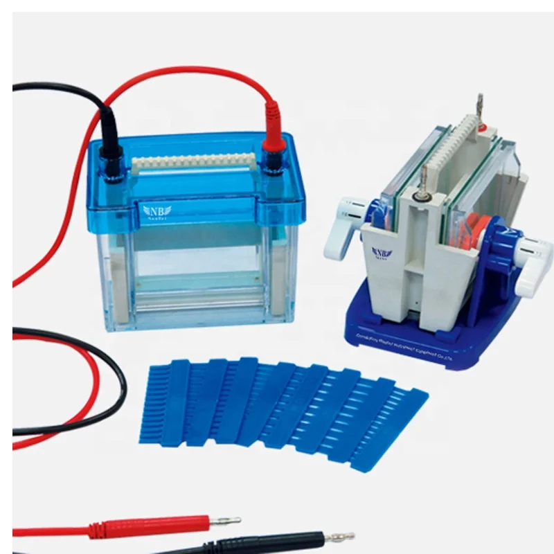 

Vertical gel electrophoresis system with electrophoresis power supply