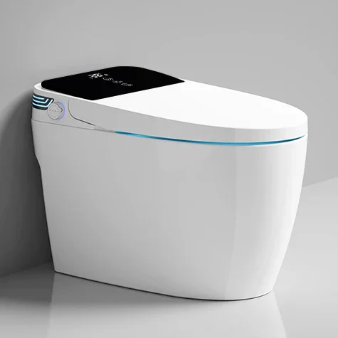 

электрическая гигиена Eco Smart Wc, керамическая цельная автоматическая интеллектуальная унитаз